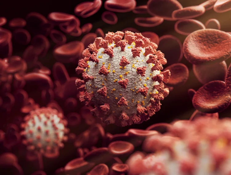 Coronavírus: médicos recorrem a autópsias para entender melhor os impactos no corpo humano (Radoslav Zilinsky/Getty Images)