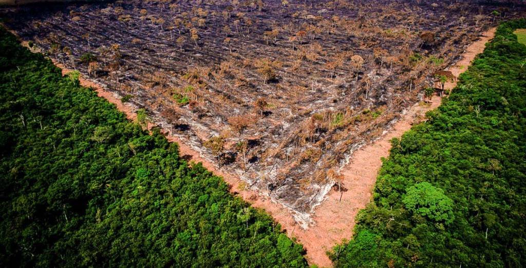 Desmatamento na Amazônia brasileira marca novo recorde para fevereiro