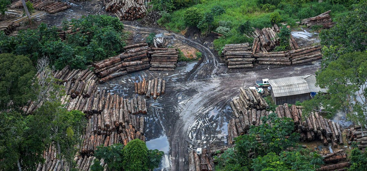 Risco ao país e à Constituição: Ministério do Meio Ambiente reage a PL do licenciamento