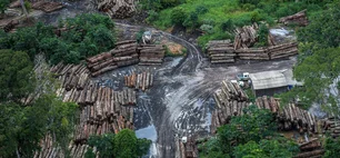 Imagem referente à matéria: Risco ao país e à Constituição: Ministério do Meio Ambiente reage a PL do licenciamento