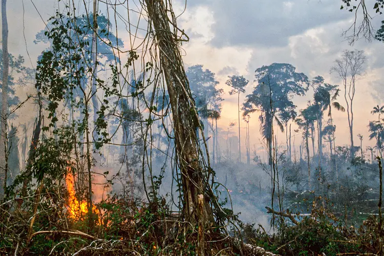 Organizações precisam se adaptar ao novo ambiente (UniversalImagesGroup / Colaborador/Getty Images)