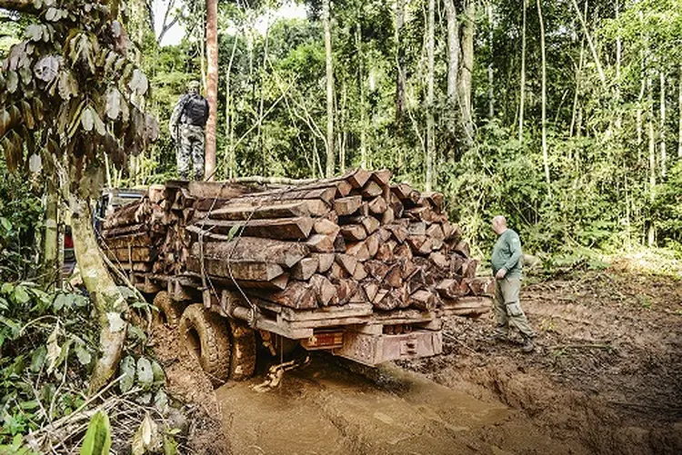 AMAZÔNIA: o desmatamento cresceu 171% em abril (Henrique Donadio/Exame)