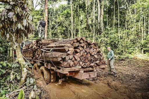 Investidores europeus ameaçam desinvestir no Brasil devido a desmatamento