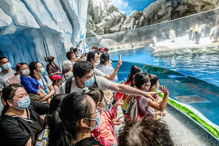 Visitantes em parque aquático reaberto de Hong Kong em 13 de junho de 2020 (Paul Yeung/Bloomberg)