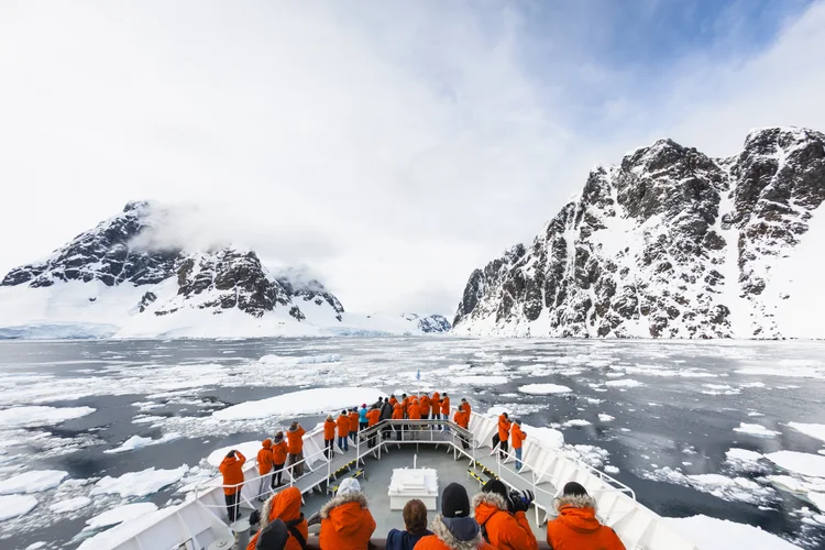 Antártica: "Materiais sintéticos entraram profundamente na cadeia alimentar", explicam pesquisadores (Andrew Peacock/Getty Images)