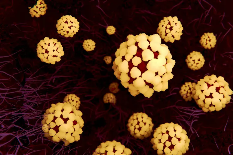 Coronavírus; coronavirus; covid-19 (JUAN GAERTNER/SCIENCE PHOTO LIBRARY/Getty Images)