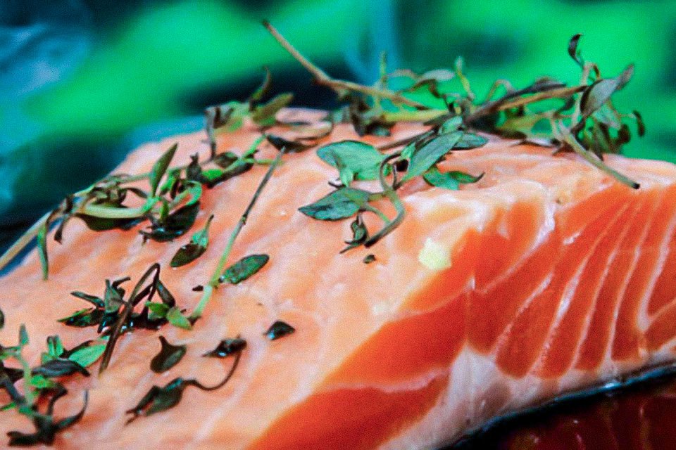 Coronavírus pode sobreviver por uma semana em salmão, diz estudo