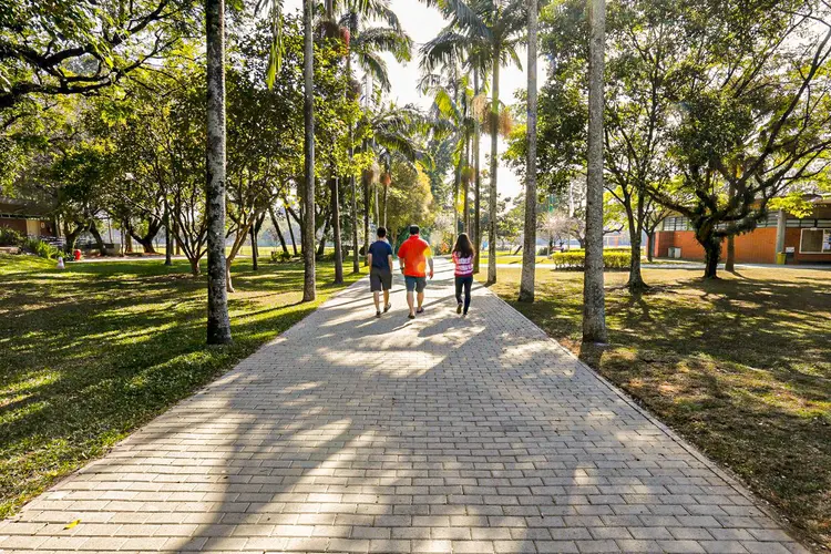 USP: instituições de ensino do estado de São Paulo foram fechadas na segunda quinzena de março (USP/Divulgação)