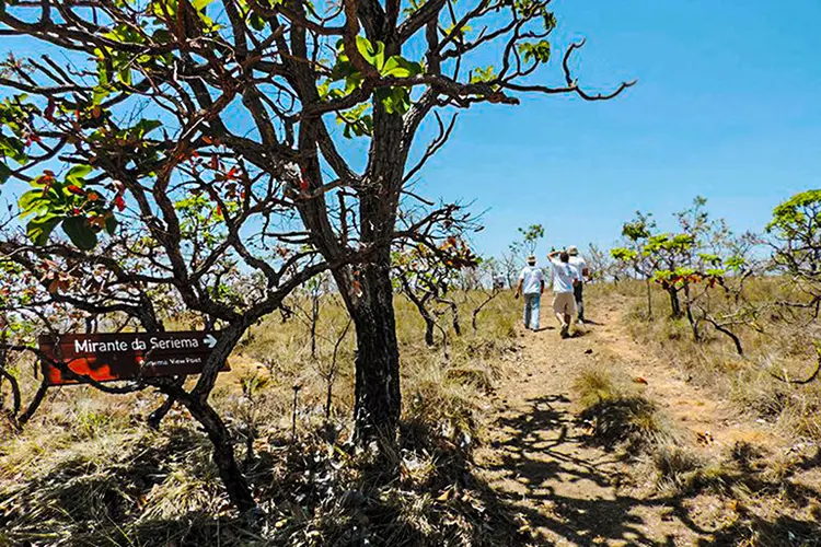 Parque Nacional Grande Sertão Veredas (Arquivo ICMBio/Parque Nacional Grande Sertão Veredas/Divulgação)