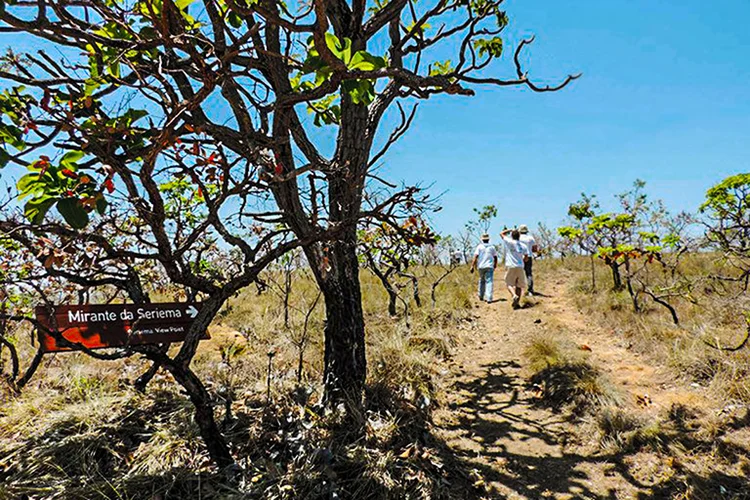 Parque Nacional Grande Sertão Veredas (Arquivo ICMBio/Parque Nacional Grande Sertão Veredas/Divulgação)