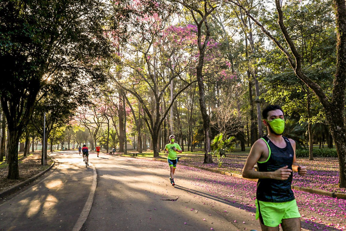 Ibirapuera recebe 6,5 mil visitantes em 1º dia de reabertura