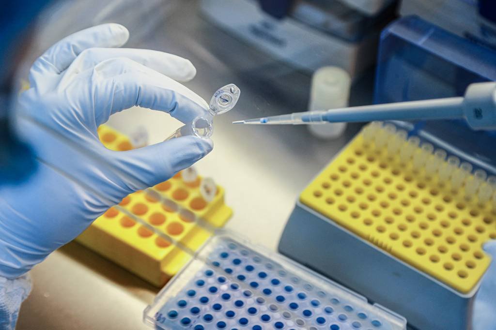 Pfizer começa segunda fase de testes para potencial vacina nos EUA