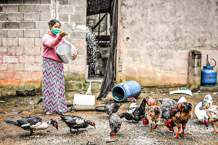 Quilombo Peropava, em Registro: região de São Paulo teve aumento de casos (Amanda Perobelli/Reuters)
