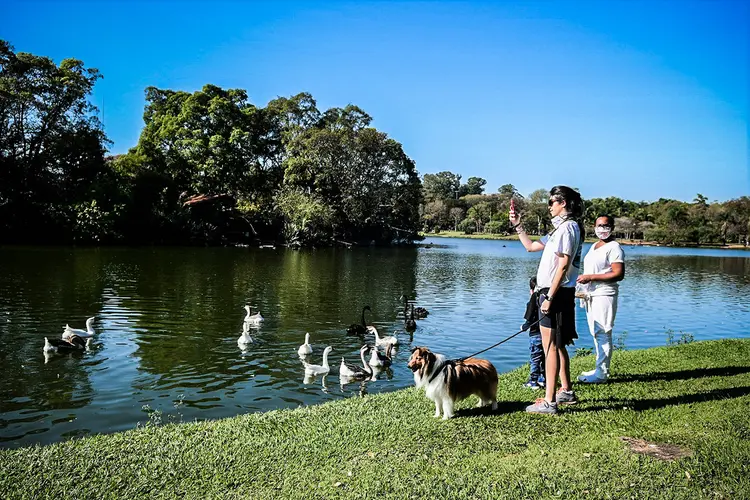 Parques Ibirapuera: principal parque da cidade ficou fechado por 90 dias (ETTORE CHIEREGUINI/AGIF - AGÊNCIA DE FOTOGRAFIA//Estadão Conteúdo)