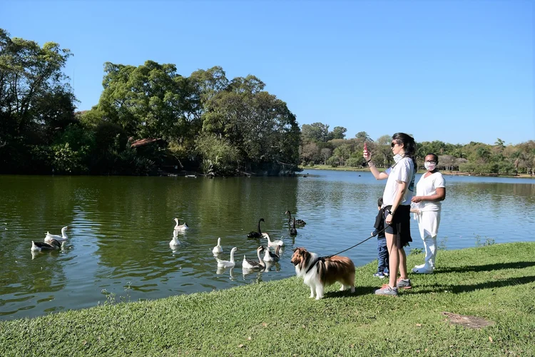 Ibirapuera: parque reabriu com 40% da capacidade máxima nesta segunda (ETTORE CHIEREGUINI/AGIF - AGÊNCIA DE FOTOGRAFIA/AGIF - AGÊNCIA DE FOTOGRAFIA/Estadão Conteúdo)