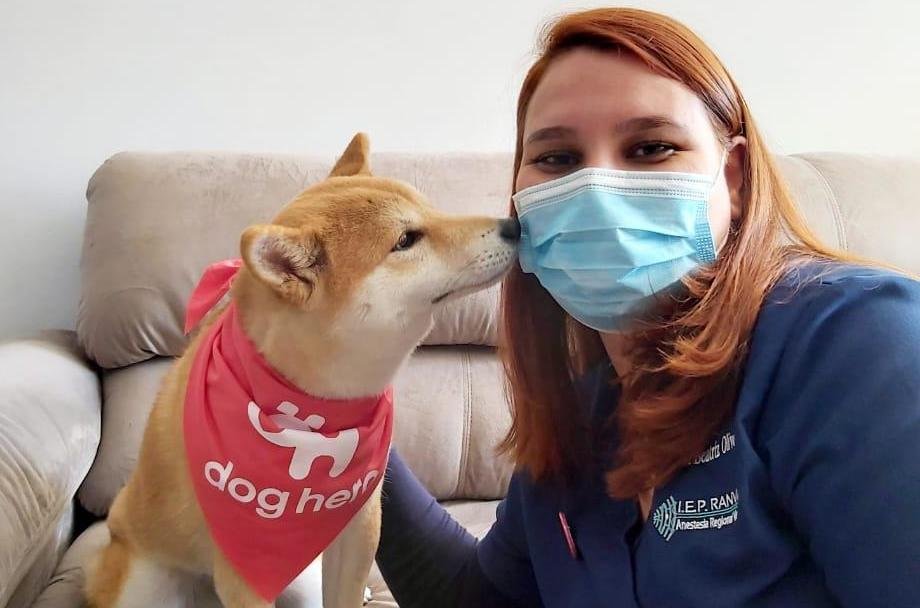 DogHero: crise causada pelo novo coronavírus acelerou o lançamento do novo serviço de veterinário a domicilio (DogHero/Divulgação)