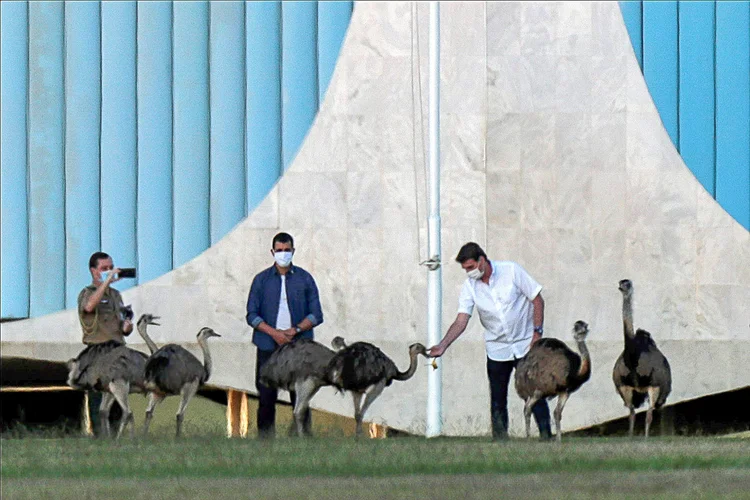 Bolsonaro alimenta emas do Palácio da Alvorada durante seu período de isolamento por causa do coronavírus (Ueslei Marcelino/Reuters)