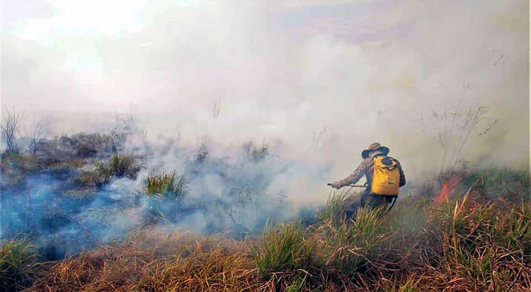 Queimadas: incêndios no Pantanal tiveram o pior mês de julho desde o início das medições em 1998 (CBMS/Divulgação)