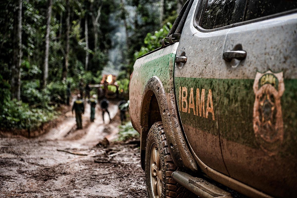 Ações contra garimpo e vistorias: entenda o que é afetado pela paralisação dos servidores do Ibama