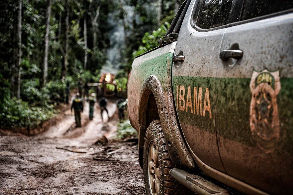 Ibama vai abrir concurso para 568 vagas