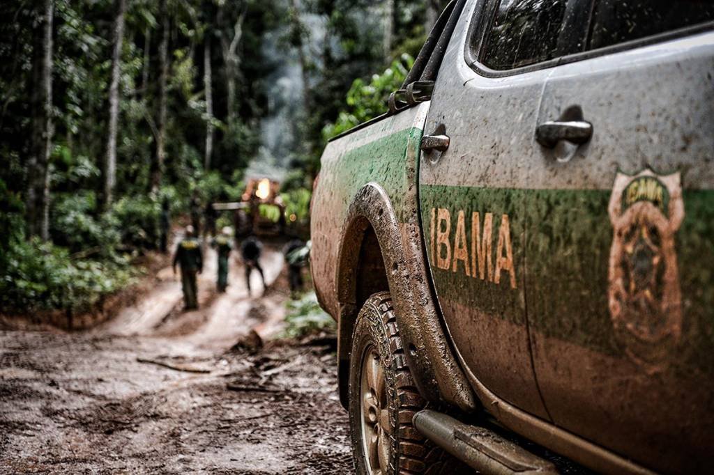 Ibama quer reduzir desmatamento pela metade no primeiro ano do governo lula