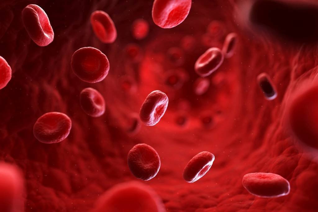 Técnica reproduz glóbulos vermelhos de sangue em laboratório