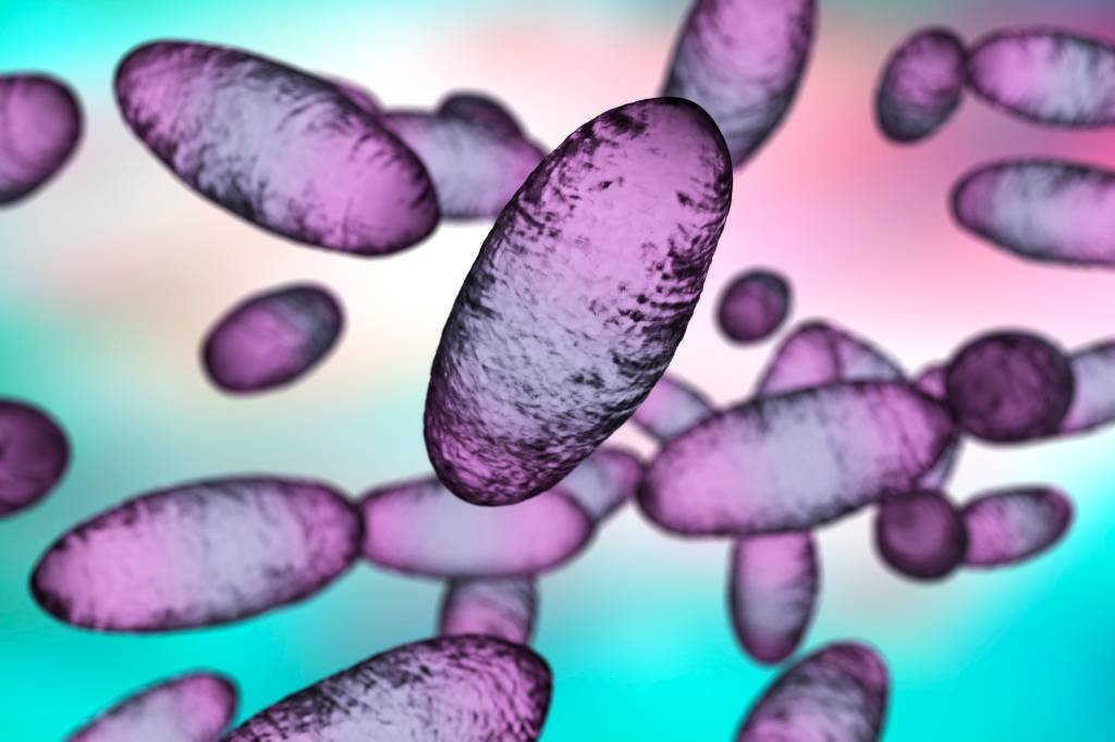 Bactérias: o intestino humano contém centenas de milhares de bacteriófagos e bactérias (Getty Images/Getty)