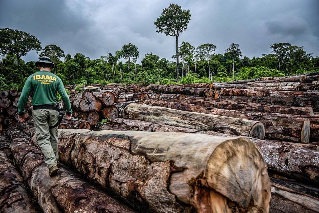 Governo alemão alerta que Amazônia ameaça acordo UE-Mercosul