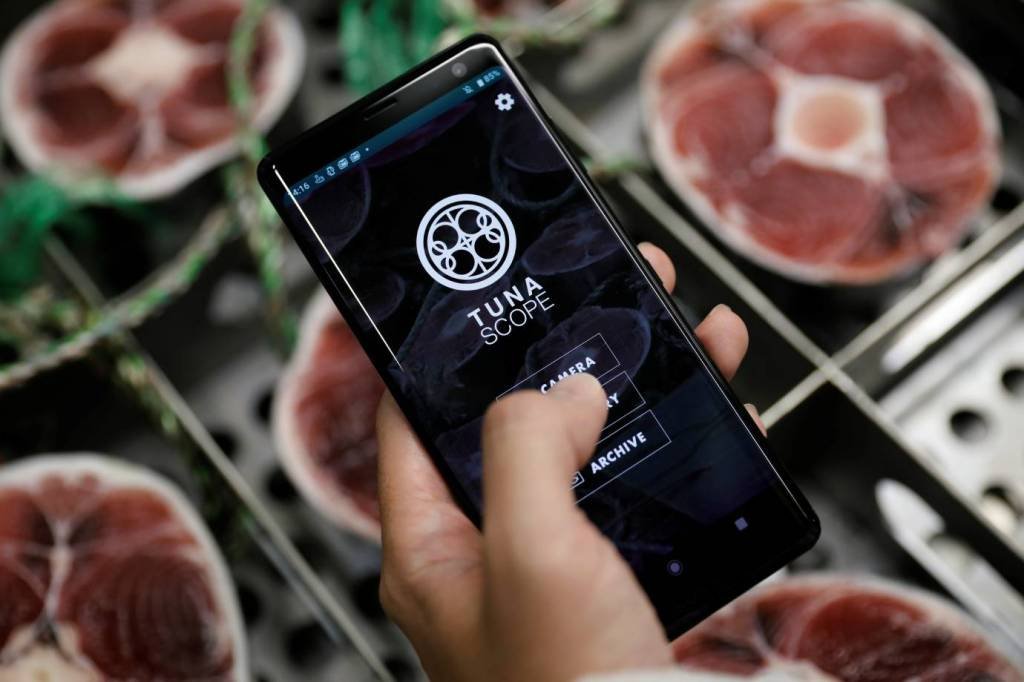 Japonês inventa aplicativo sobre atum para garantir bom sushi