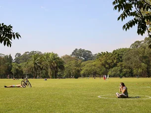 Cobrança no Ibirapuera para treinadores de corrida pode acabar na Justiça; entenda