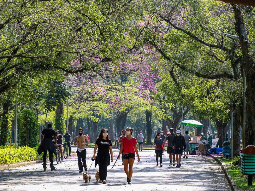 Parque Ibirapuera recebe 10ª Mostra 3M de Arte