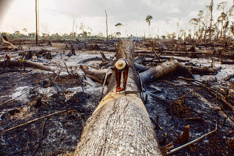 Desmatamento; Queimadas; Incêndio florestal; Amazônia (Ricardo Funari/Getty Images)