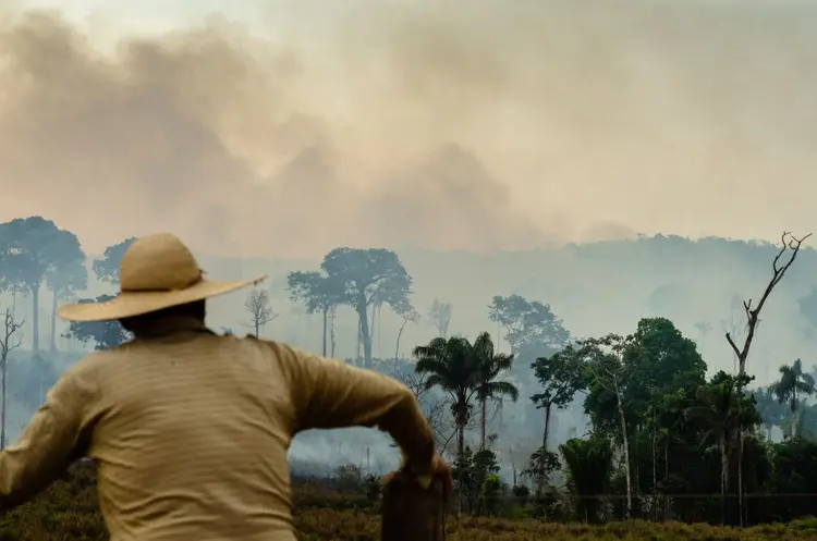 Amazônia: área de floresta é queimada no Pará, em agosto de 2019, dias após Bolsonaro decretar a proibição das queimadas intencionais (Gustavo Basso/Bloomberg)