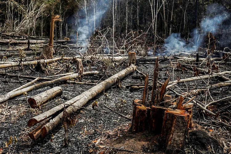 DESMATAMENTO NA AMAZÔNIA (FOTO DE 2019): pressão internacional leva a uma nova onda de debates no Brasil (Bruno Kelly/Reuters)