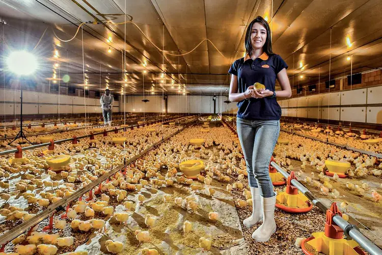Luciana Dalmagro: aos 35 anos, ela se tornou uma das maiores produtoras de frangos do país (Germano Lüders/Exame)
