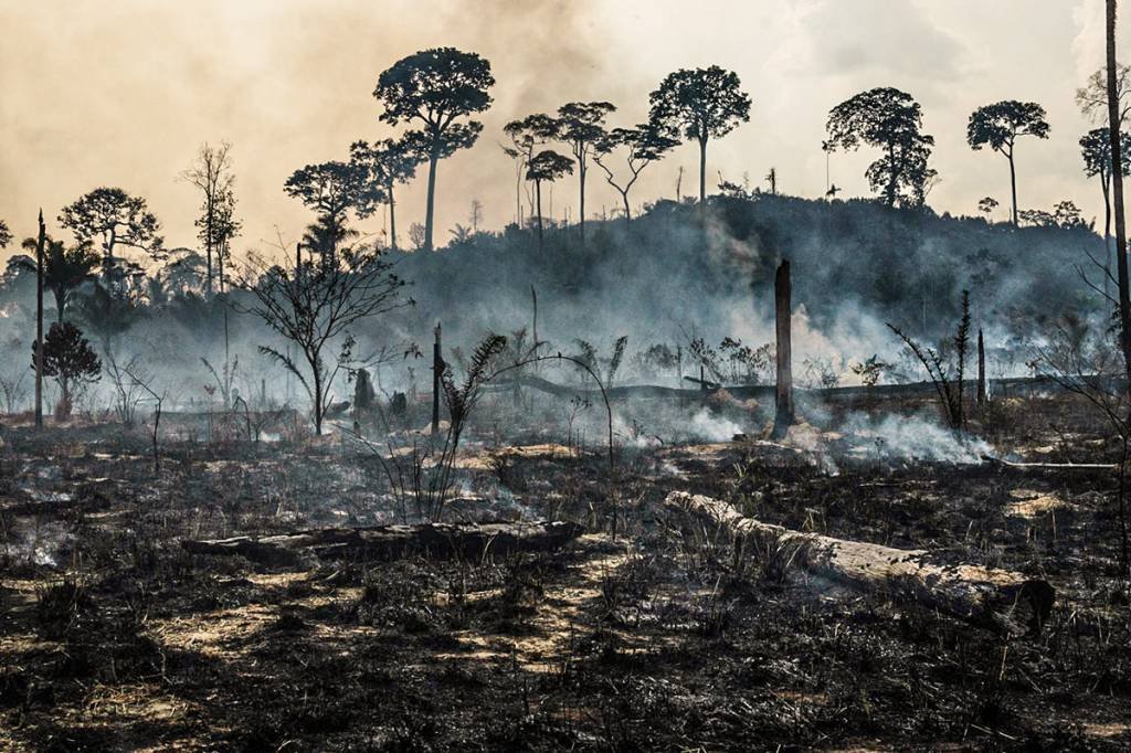 Amazônia tem pior mês de junho em 13 anos por incêndios florestais