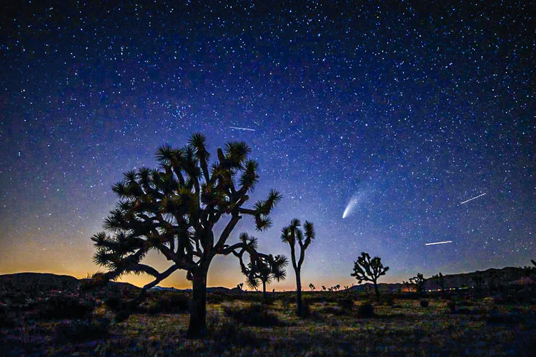 Neowise: cometa ganhou força na América do Norte e agora aparecerá na América do Sul (Rich Fury/Getty Images)