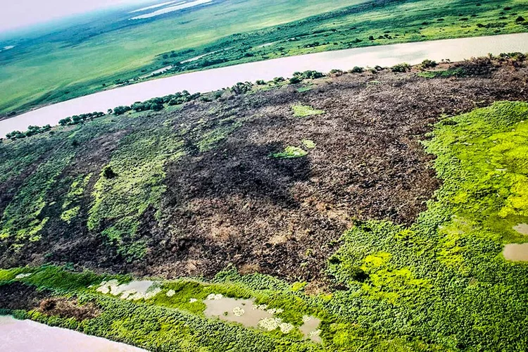 Incêndios no Pantanal: somente na região do município de Corumbá, mais de 50 mil hectares de vegetação já foram queimados neste primeiro semestre (Governo do MS/Divulgação)