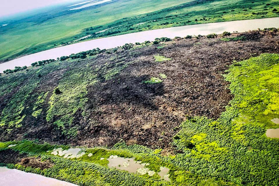 Pantanal registra maior número de focos de queimadas em 20 anos