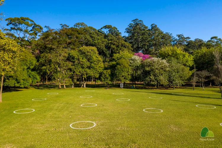 Ibirapuera, em São Paulo: Pão de Açúcar marca gramado para incentivar distanciamento social na reabertura de parque (Pão de Açúcar/Divulgação)