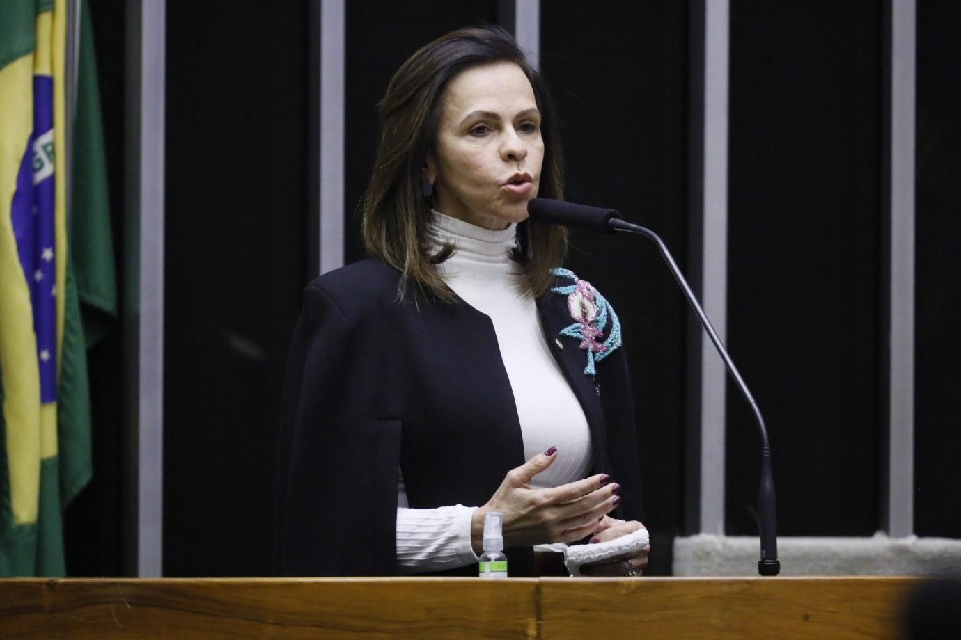 O novo Fundeb vai ser mais Brasil e menos Brasília, diz relatora da PEC