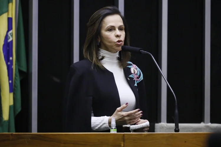 Professora Dorinha: relatora do projeto conseguiu fechar acordo com a União para garantir maior repasse à educação básica do país (Luis Macedo/Agência Câmara)