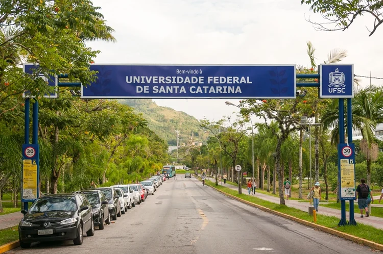 UFSC: um estudo preliminar da Universidade Federal de Santa Catarina indica que o vírus chegou às Américas dois meses antes do que se sabia (UFSC/Divulgação)