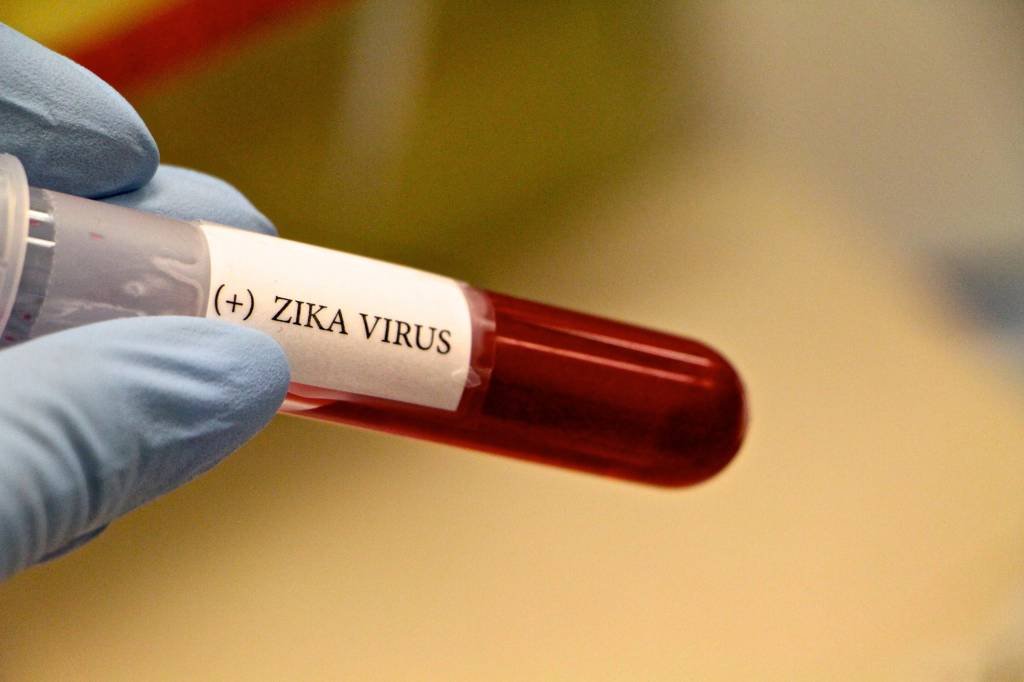 Pesquisadores conseguem bloquear ação do zika em camundongos