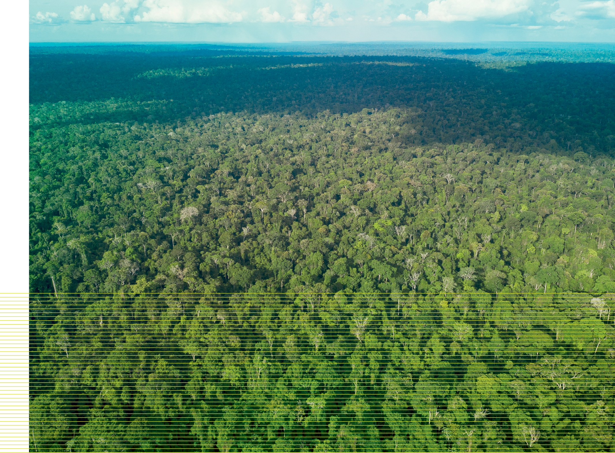 Queda no desmatamento da Amazônia leva Brasil a menor emissão em 15 anos