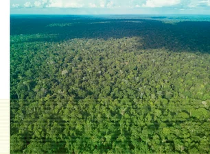 Imagem referente à matéria: Instituto LIFE expande certificação ambiental e da biodiversidade para Bélgica e México