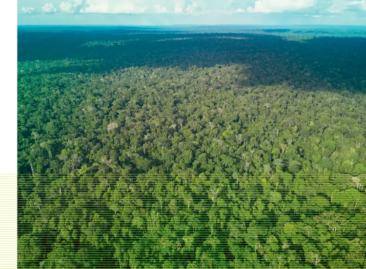 Amazônia: dono da maior biodiversidade do planeta, o Brasil só tem a ganhar com a sustentabilidade (Leo Correa/Glow Media/AP)