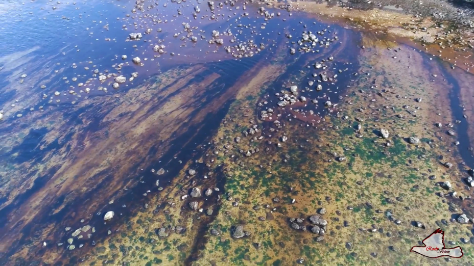 Óleo vaza de cargueiro japonês nas Ilhas Maurício