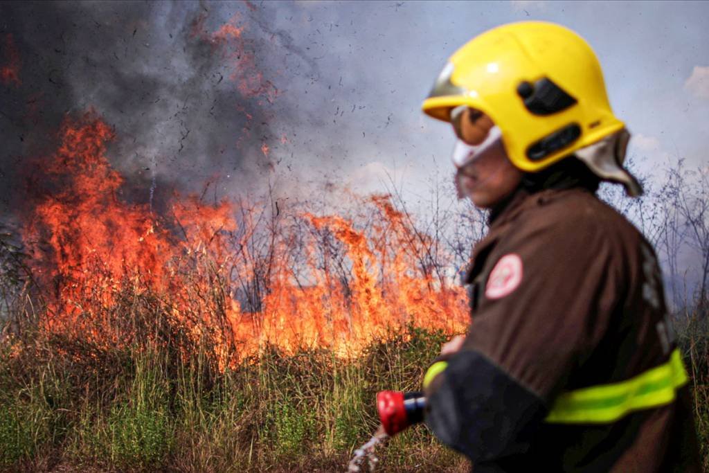 "Bombeiro piromaníaco": homem é preso na França acusado de provocar incêndios florestais (Ueslei Marcelino/Reuters)