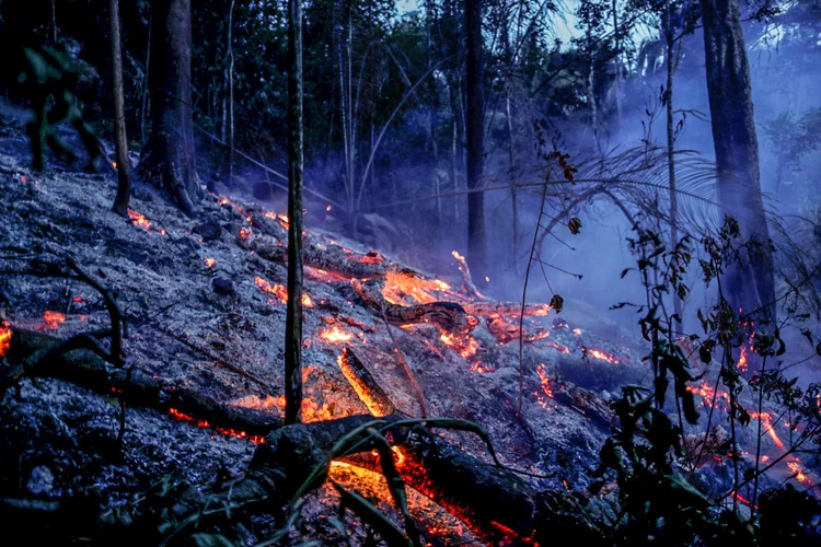 Segundo pesquisa da Febraban com 1.500 pessoas, 90% dos entrevistados consideram preocupante a situação na Amazônia, com o aumento recente do desmatamento (Ueslei Marcelino/Reuters)